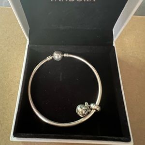 Pandora bracelet